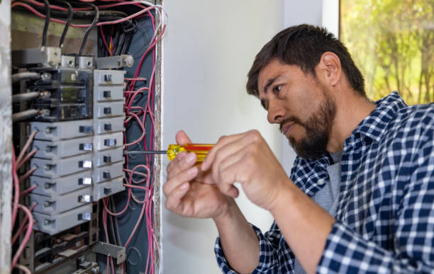 Best Generator Installation Services  in Blue Mound, IL
